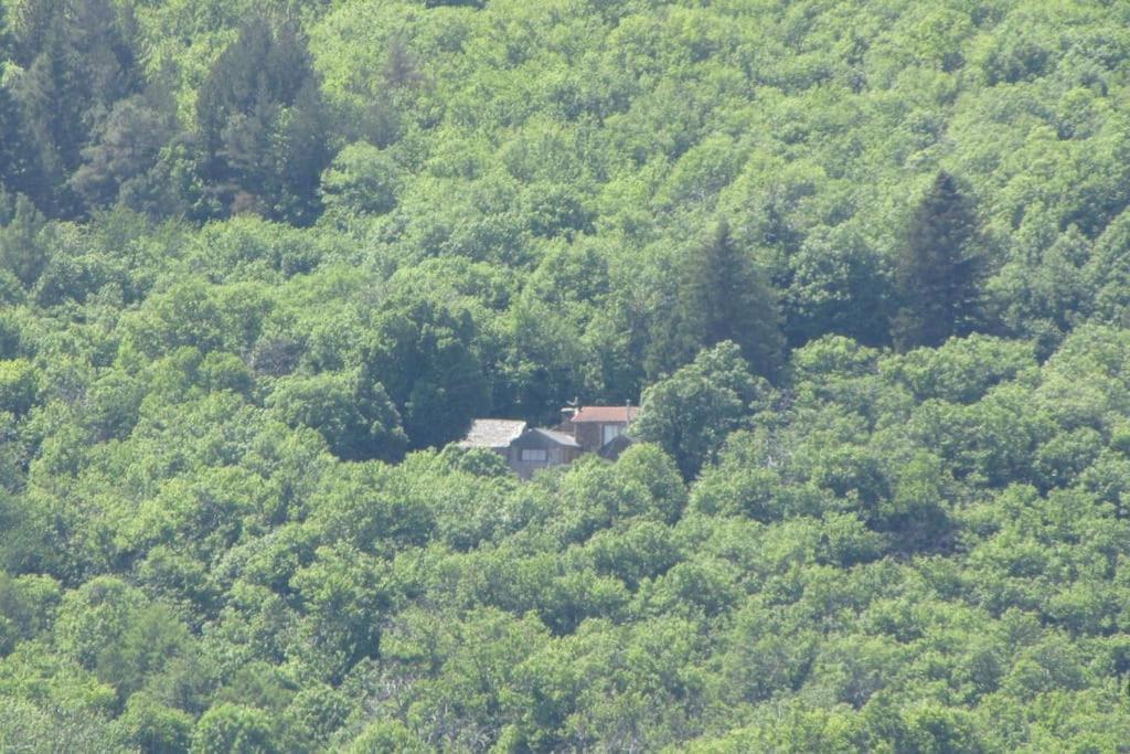 Holiday home Havre De Paix Le Collet-de-Deze